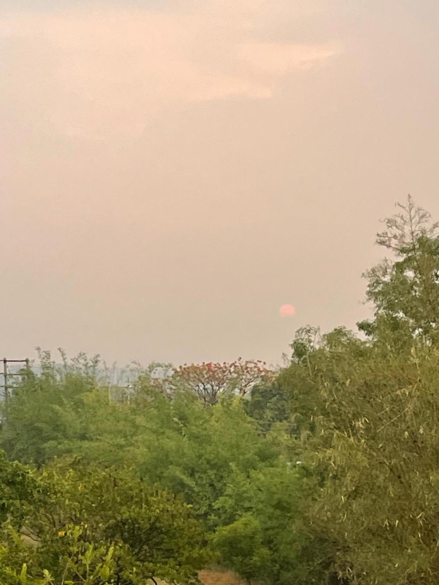 Samruddhi S1 Homestay Garden Villa Or S3 Nagpur Dış mekan fotoğraf